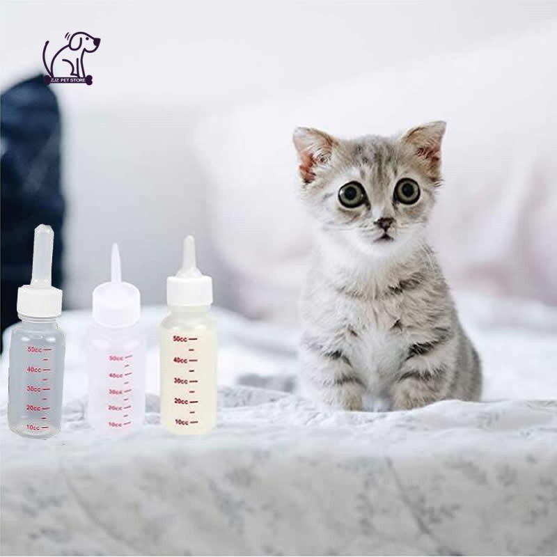 Baby cat feeding on sale bottle