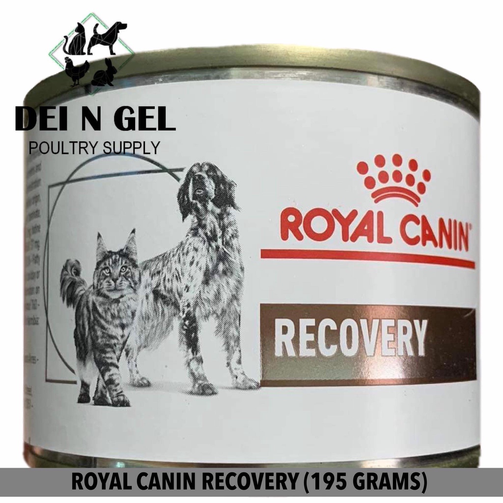 ROYAL CANIN® Veterinary Diet Canine & Feline Recovery Canned Wet Dog & Cat  Food 195g