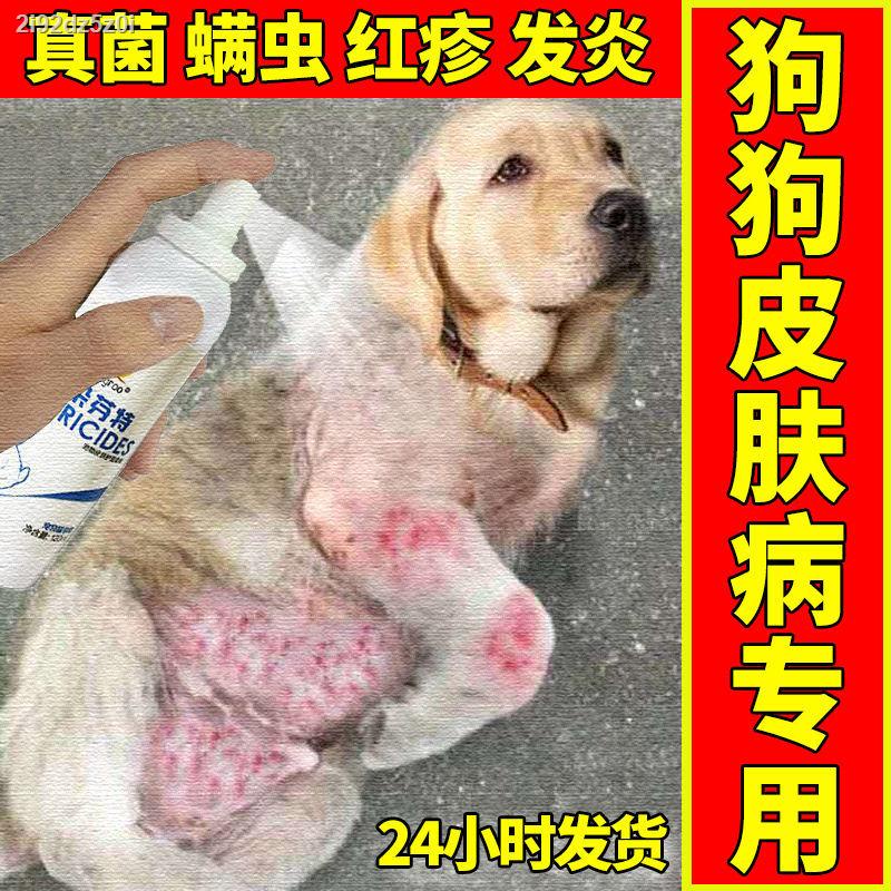 special-medicine-for-dog-skin-disease-treatment-of-pet-dog-fungal-mite