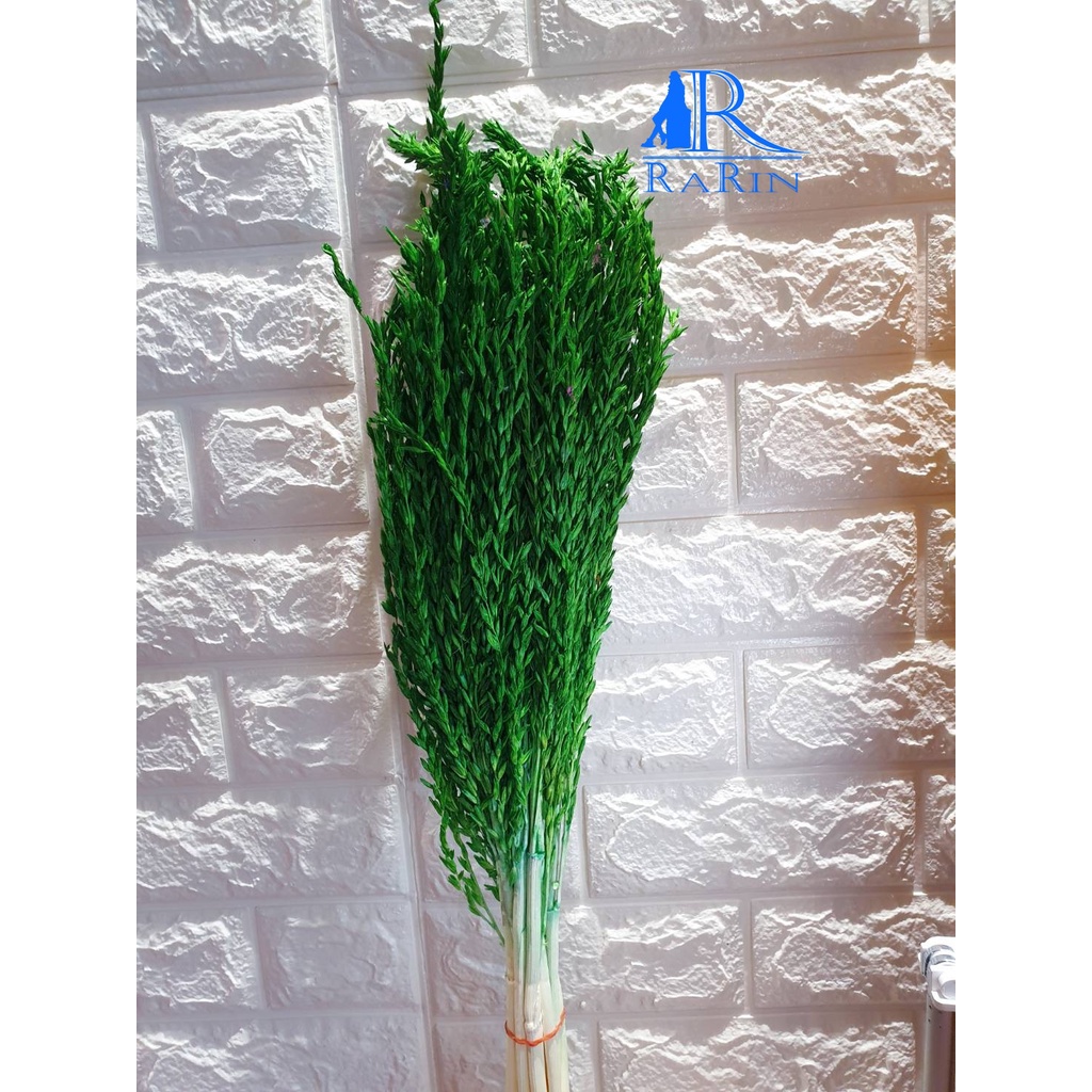 Ratin Corn Flowers Dyed (Green) Used For Decoration Beautiful Photo ...