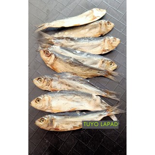 Dried TUYO Fish ( Lapad ) | 100g / 250g | Sun-Dried In Pangasinan