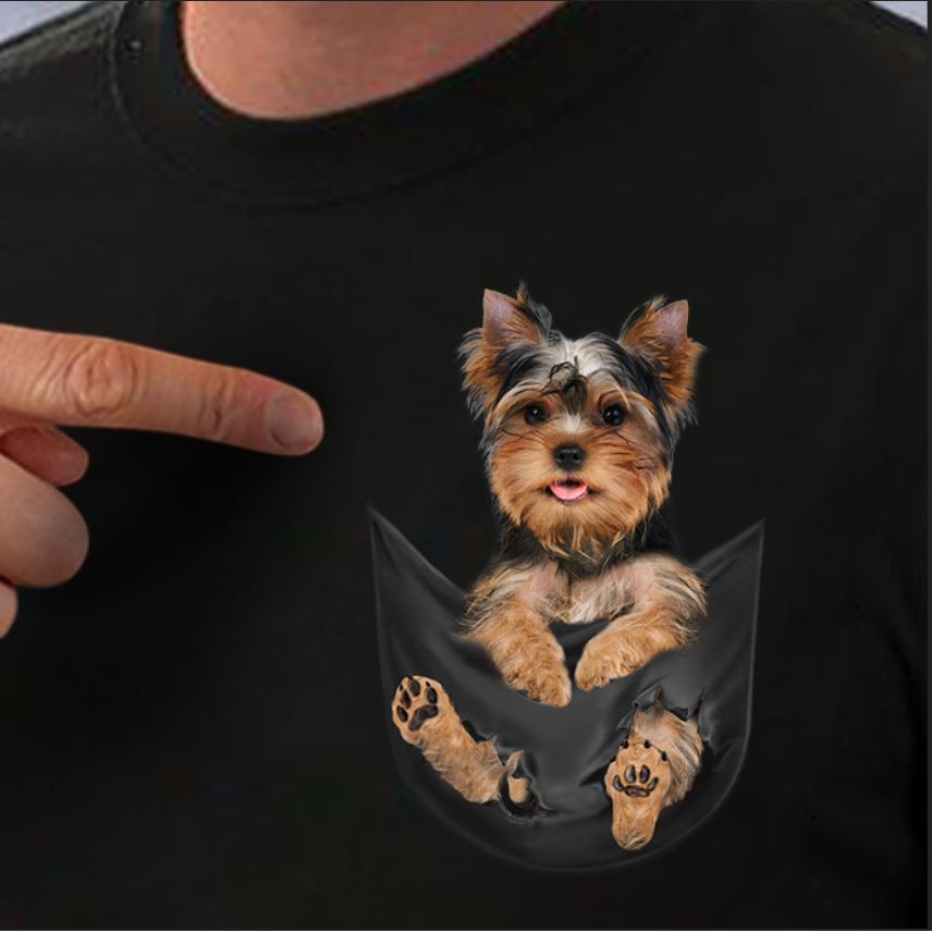 Pocket 2024 size yorkie