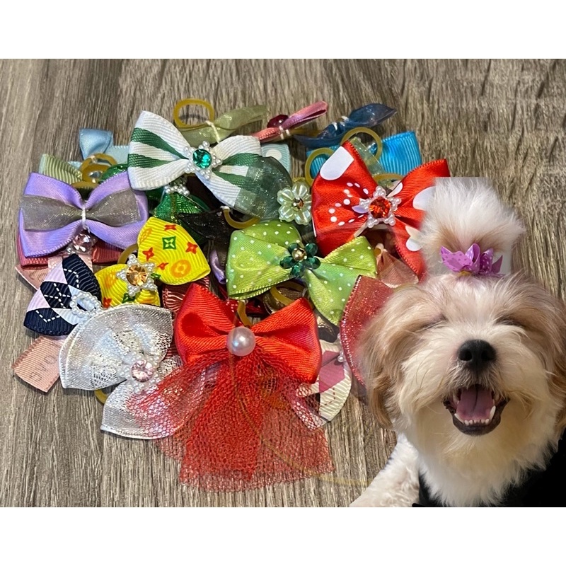 DOG RIBBON BOW HAIR TIE (NOT CLIP) | Shopee Philippines