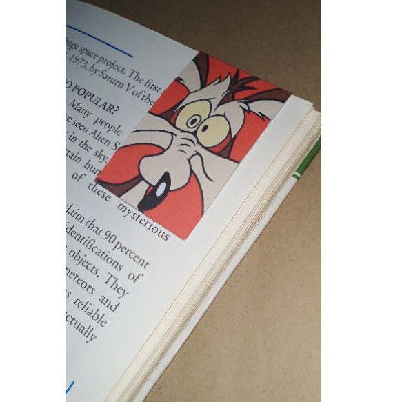 Looney Tunes Magnetic Bookmarks (Laminated) | Shopee Philippines