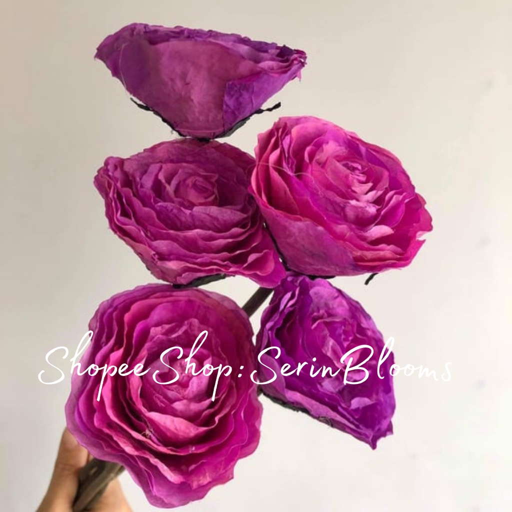 Fossilized Rose(1 stem only) | Shopee Philippines