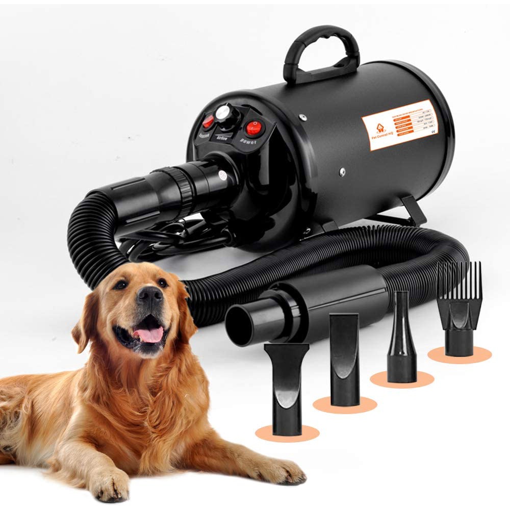 Force dryer shop for dogs