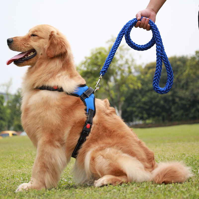 Dog Leash 1.5m Adjustable Safe Lead Harness Pet back and chest traction  rope Pet Dog Vest Collar ret