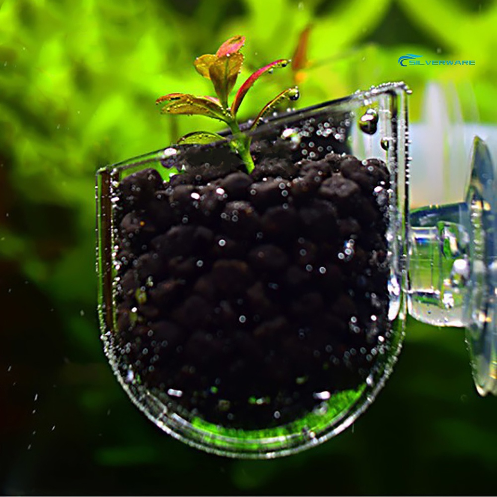 SILVERWARE Creative Aquarium Fish Tank Glass Plant Cup Red Worm Feeding ...