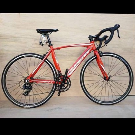 Phoenix swift best sale road bike price