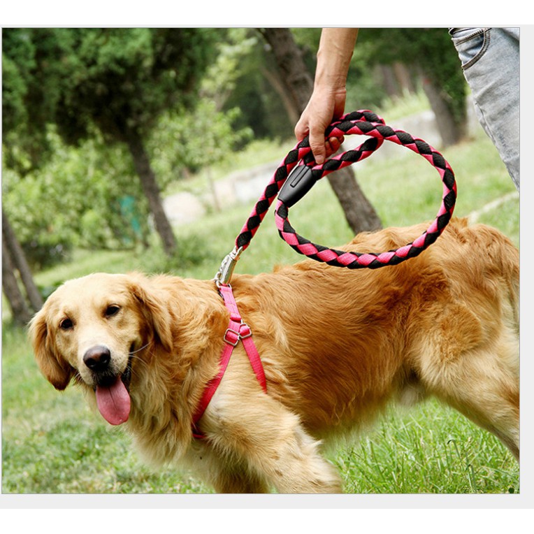 Dog Leash Pet braided rope chest and back with dog traction rope