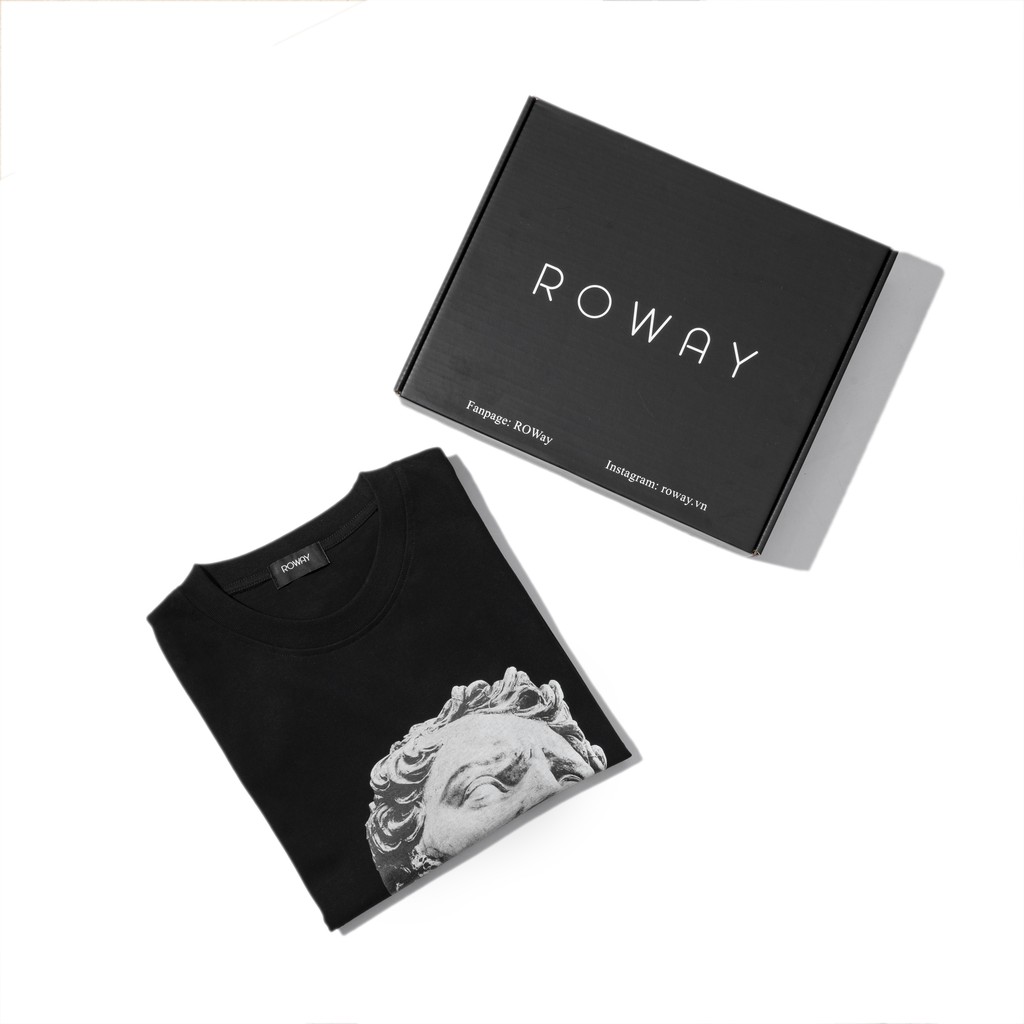 Roway men's cotton t-shirt, cool, absorbent, wrinkle-free, regular form ...