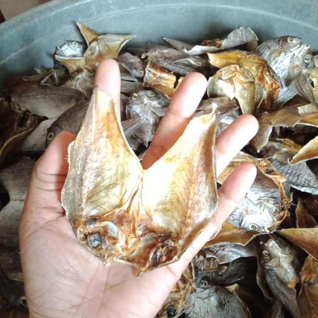 boneless danggit dried fish Shopee Philippines