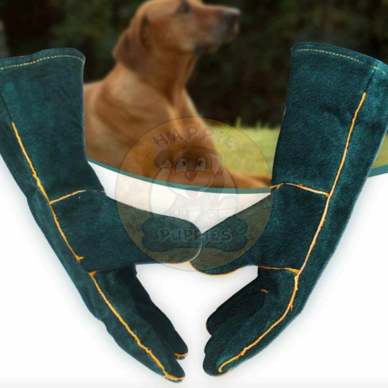Gloves for biting dogs 2025