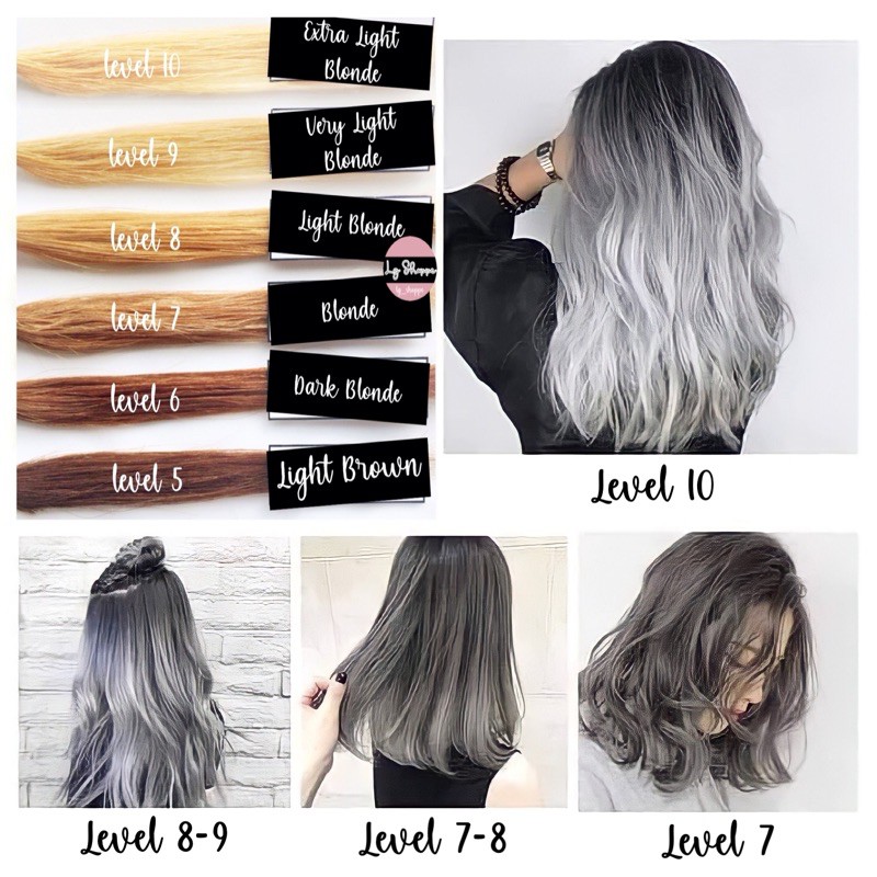 101 Hair Color Chart Guide with Hair Levels and Tones Explained