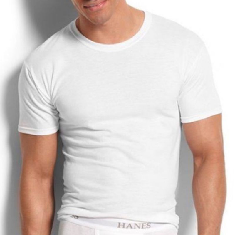 Hanes Tagless Slim Fit T shirt ORIGINAL HANES Shopee Philippines