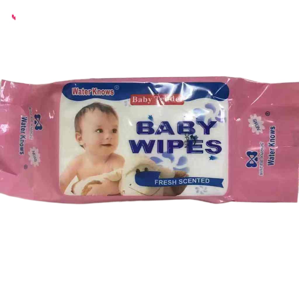 Wet Wipes FT(1pcs) | Shopee Philippines