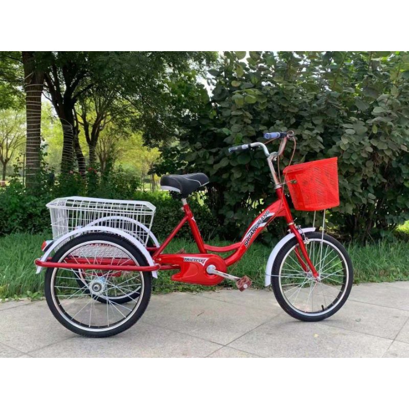 Cargo Bike Tri-Bike 3 wheels bike | Shopee Philippines