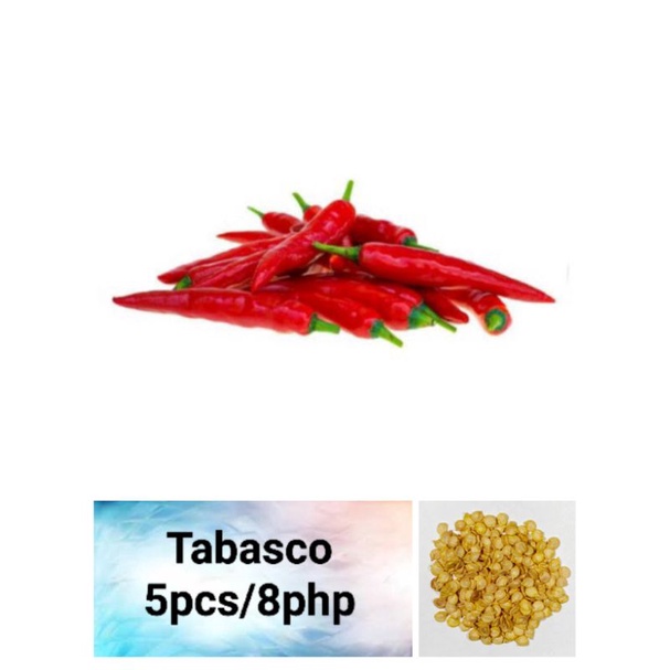 Tabasco Pepper Seeds (10pcs) Shopee Philippines