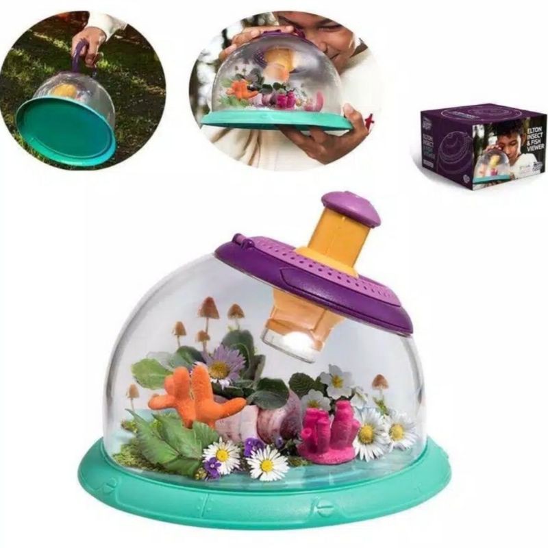 Insect and Fish Observation Tank Aquarium for children Fun and Learning ...
