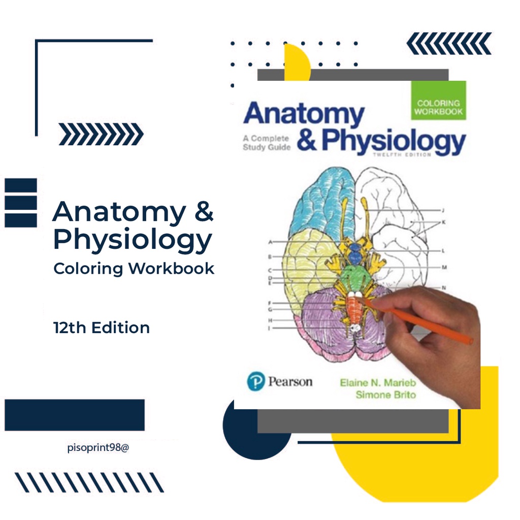 Anatomy & Physiology 12th Edition - Coloring Workbook- Coil only ...