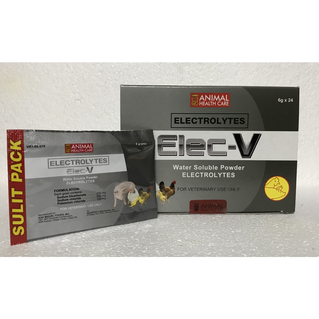 5 PACKS ELEC-V 6G (ELECTROLYTES) | Shopee Philippines