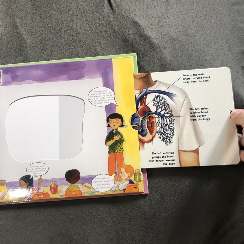 The Human Body Magic Skeleton pull the tabs Book | Shopee Philippines