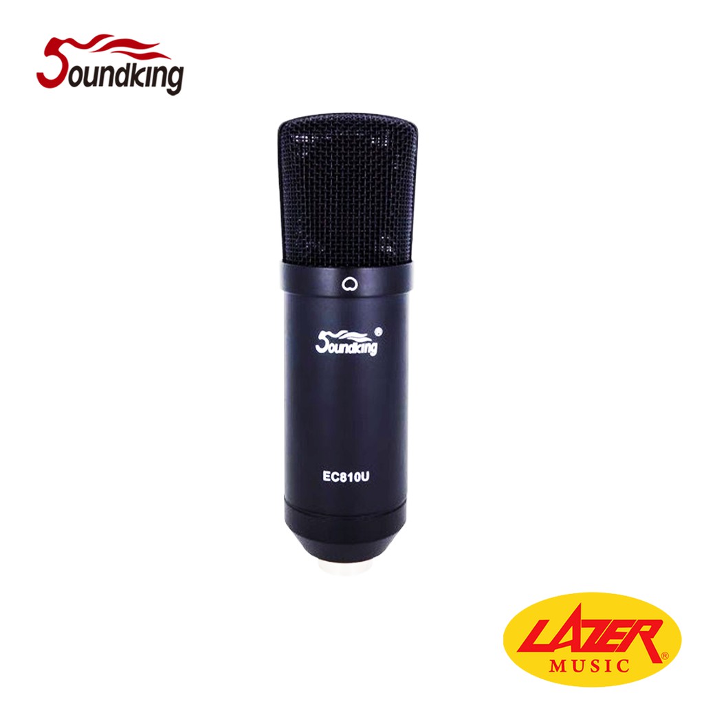 Soundking EC810U Condenser Microphone EC810U Shopee Philippines