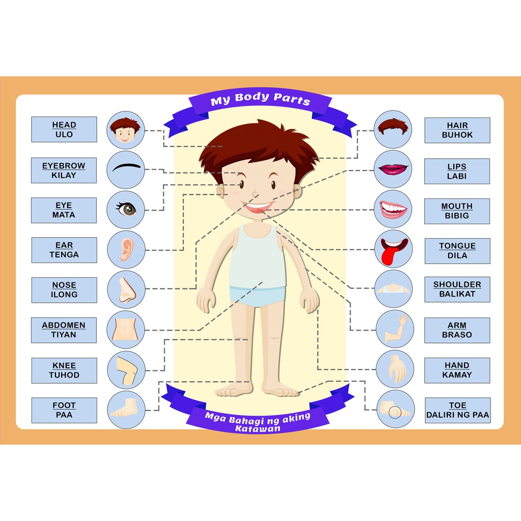 Educational Body Parts EnglishTagalog Chart for Children (Girl/Boy