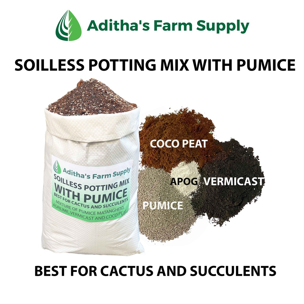 8kg AFS Soilless Potting Mix with PUMICE for Cactus and Succulents ...