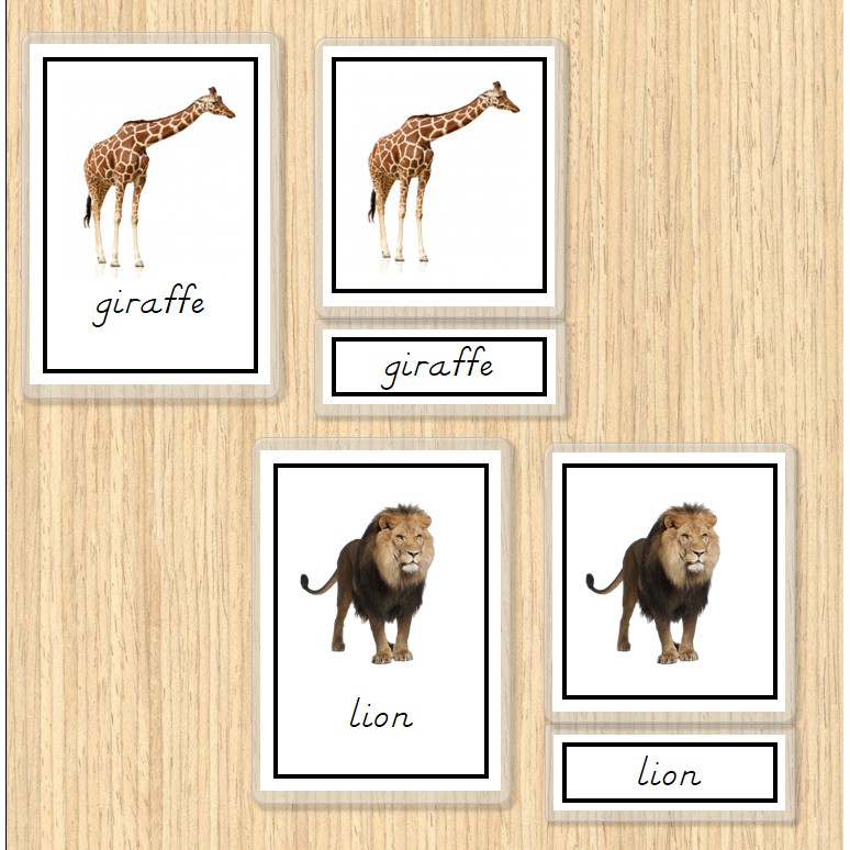 Jungle Animals - Montessori Three-Part Cards / Nomenclature | Shopee ...