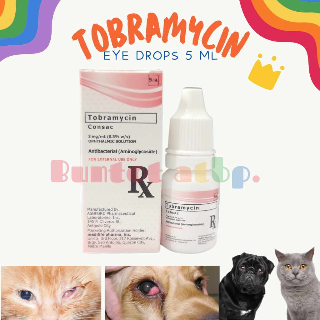 Tobradex eye drops for cheap cats