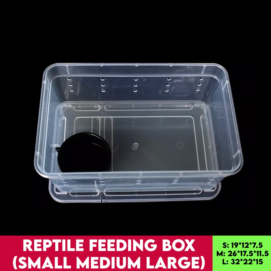 Reptile Feeding Box for Gecko Iguana Bearded Dragon Tortoise Snakes ...