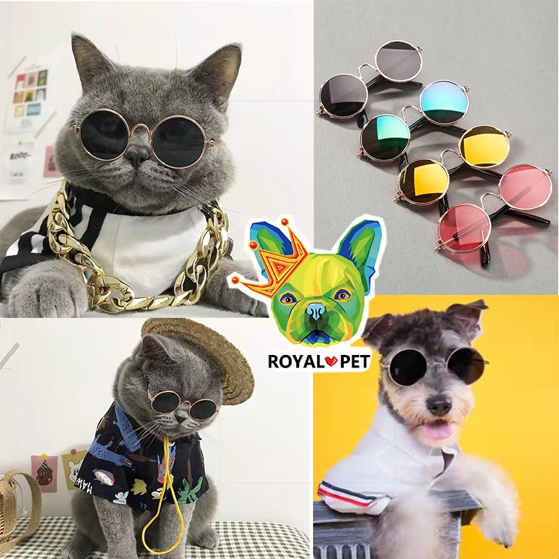 Pet Toy Fashion Accessories Dog Cat Glasses Puppy Dog Eyeglasses Cat  Eyewear Sunglasses Cute Cool