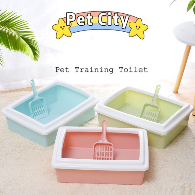 City kitty litter on sale training