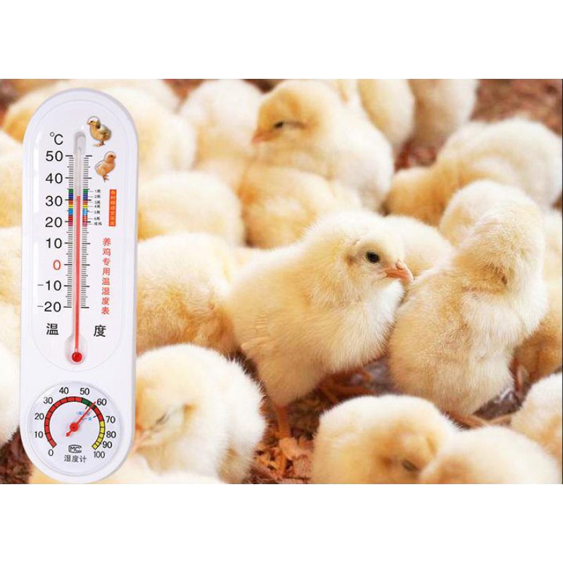 Chicken brood thermometer Chicken shed dry and wet meter Incubation