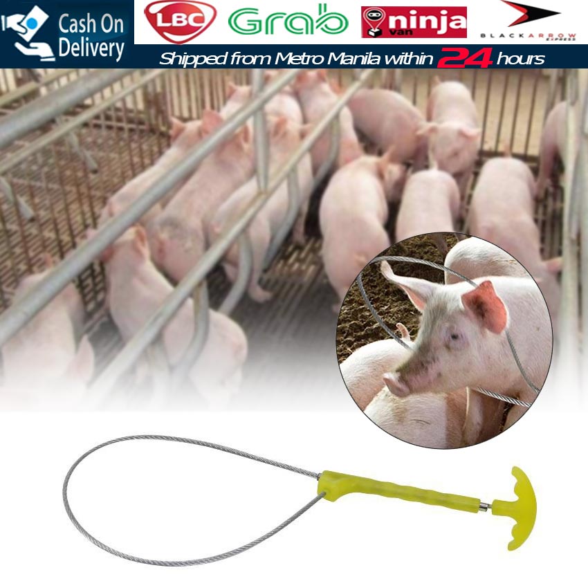 【Fast Delivery】Pig Baoding Set Pig Fixed Rope Wire Ropes Sleeve ...
