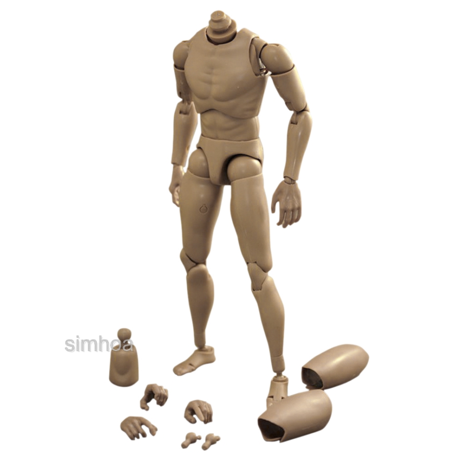 1:6 Scale Action Figure Narrow Shoulder Male Muscular Body | Shopee ...
