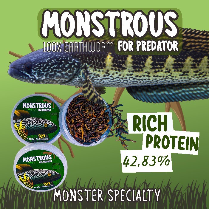 Dry Worm Monstrous Predator Fish Food Pellet Feed Channa Oscar | Shopee ...