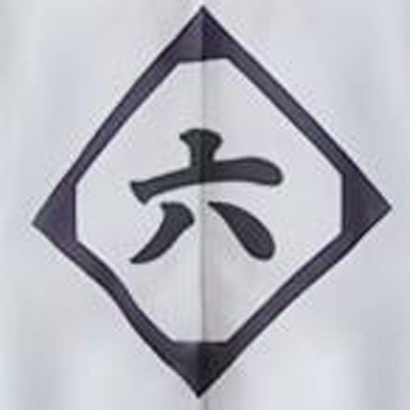 BLEACH White Haori Cosplay Costume From 1st to 13th Division Captain