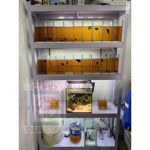 5 layer boltless rack 40x120x180 shelves Shopee Philippines