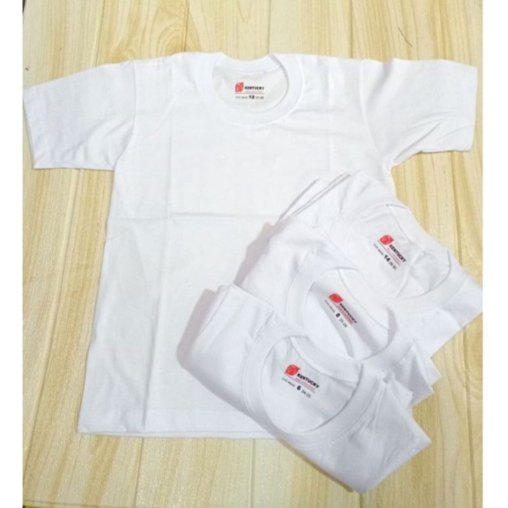 Tshirts assorted brand kentucky/cherry/cotton wear/ blue corner/active(6pcs  per pack)