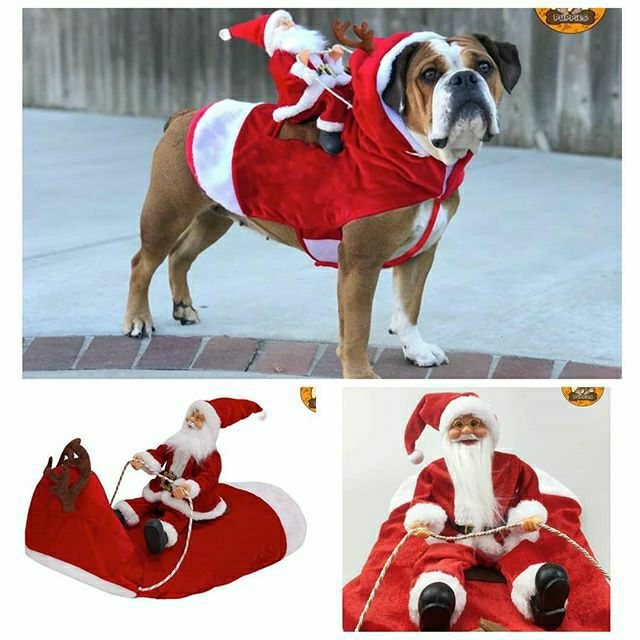 Christmas outfits hotsell for big dogs