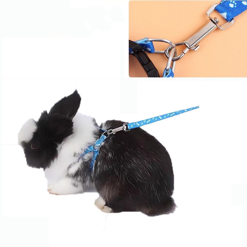 Rabbit leash rabbit harness rabbit accessories Shopee Philippines