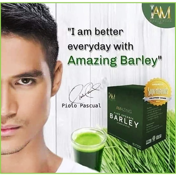 1 box Authentic Pure Organic Barley Powder Drink Mix (10 sachets