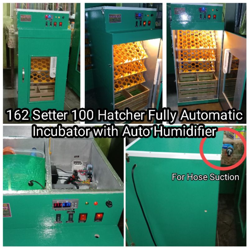 162 Setter 100 Hatcher Fully Automatic Egg Incubator With Auto