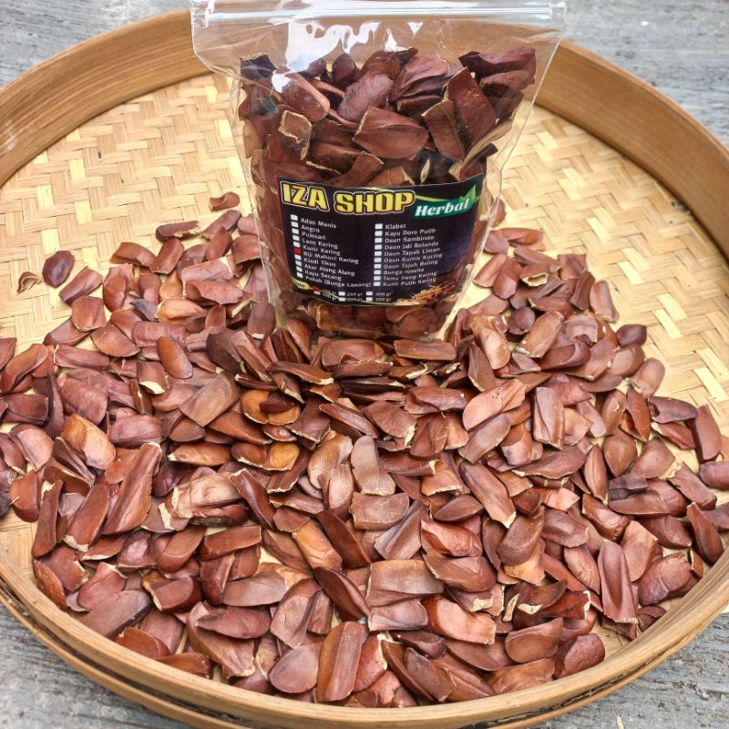 Dried Mahogany/Mahogany Seeds 100gr Shopee Philippines