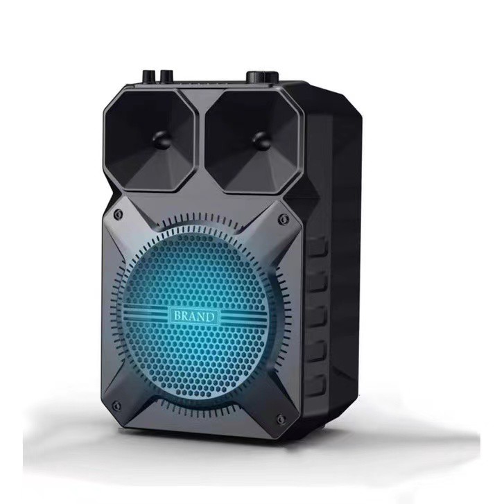 JBK0921 Karaoke wireless speaker with bluetooth sound FM radio with