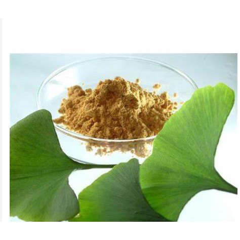 Ginkgo Biloba Powder Extract100-200g / Serbuk Ekstrak Ginkgo Biloba ...