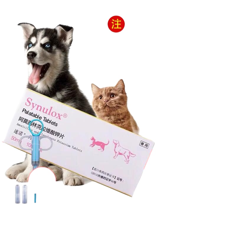 Sono cat nasal branch pet skin disease 50mg dog anti-inflammatory cold ...