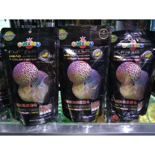 Shop flowerhorn fish for Sale on Shopee Philippines